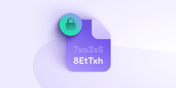 how to encrypt files
