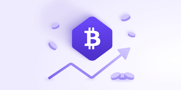 Bitcoin as inflation increases